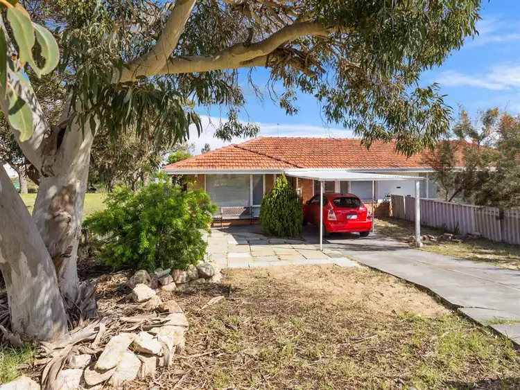 19B Vernon Place, Spearwood WA 6163
