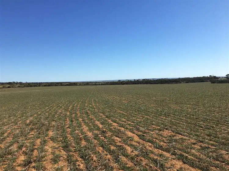 Sixth view of Homely rural property listing, Address available on request