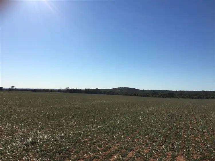 Seventh view of Homely rural property listing, Address available on request