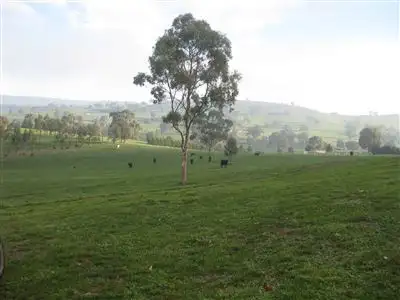 Fourth view of Homely rural property listing, Address available on request