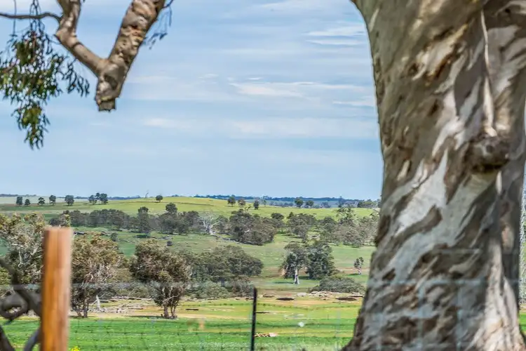 140 Pebbly Range Road, Tungkillo SA 5236