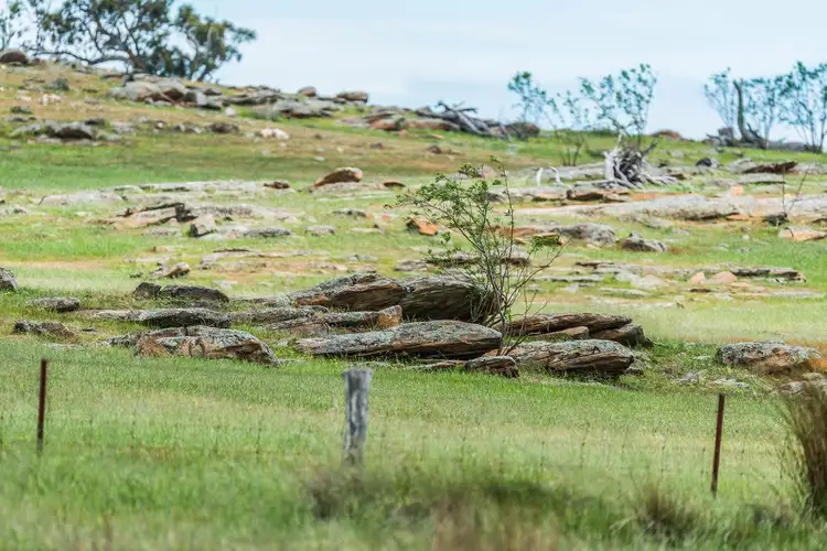 Fourth view of Homely rural property listing, 140 Pebbly Range Road, Tungkillo SA 5236