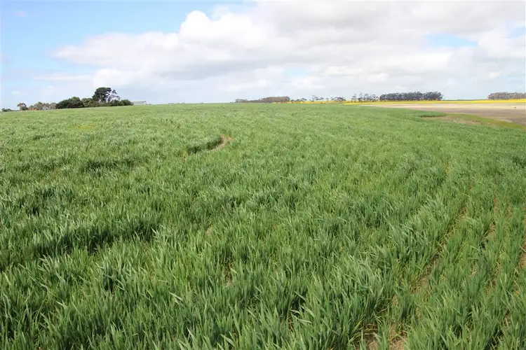 Second view of Homely rural property listing, 1151 Lismore-Skipton Road, Skipton VIC 3361