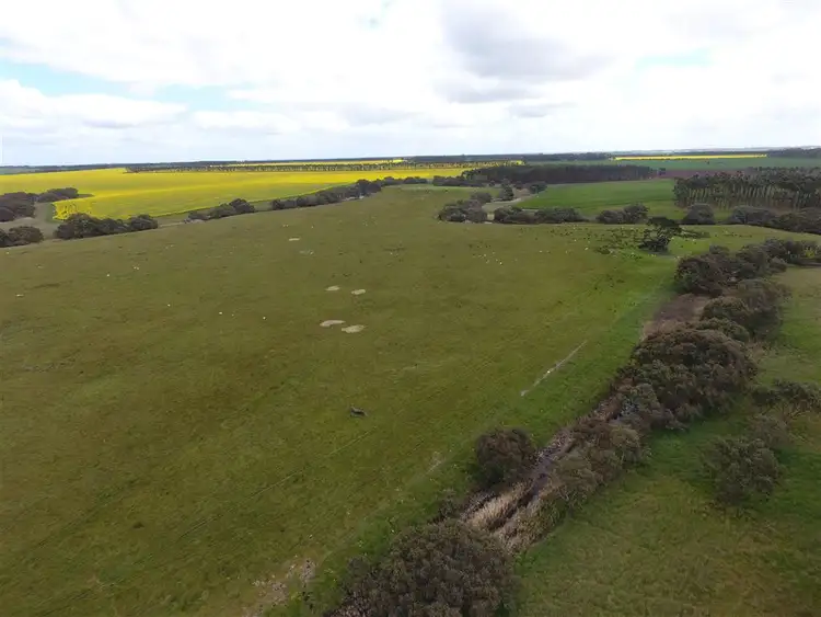 Sixth view of Homely rural property listing, 1151 Lismore-Skipton Road, Skipton VIC 3361