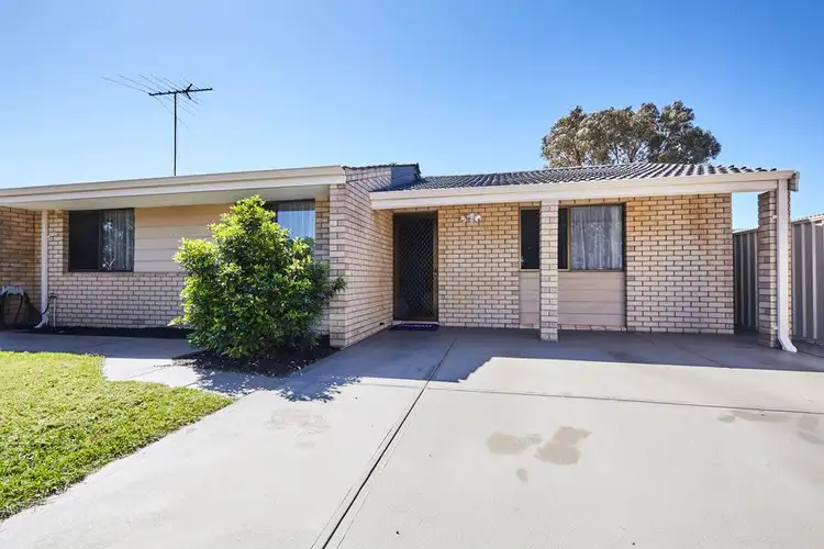 21 Honeysett Court, Hamilton Hill WA 6163