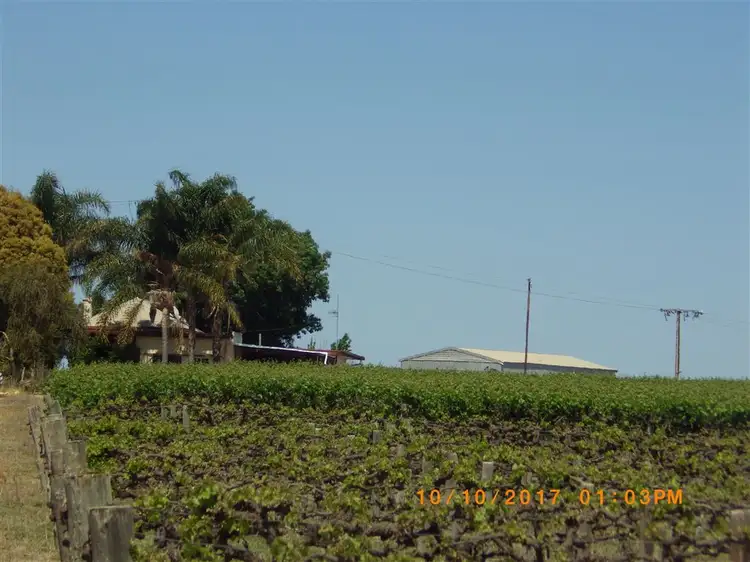 296 & A113 McKenzie  & Brand Roads, Barmera SA 5345
