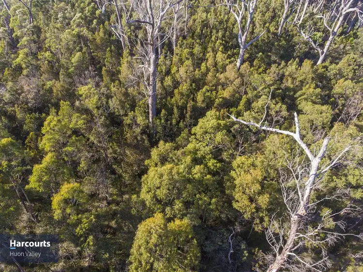 Fourth view of Homely land listing, Lot 1 Off Cygnet Coast Road, Wattle Grove TAS 7109