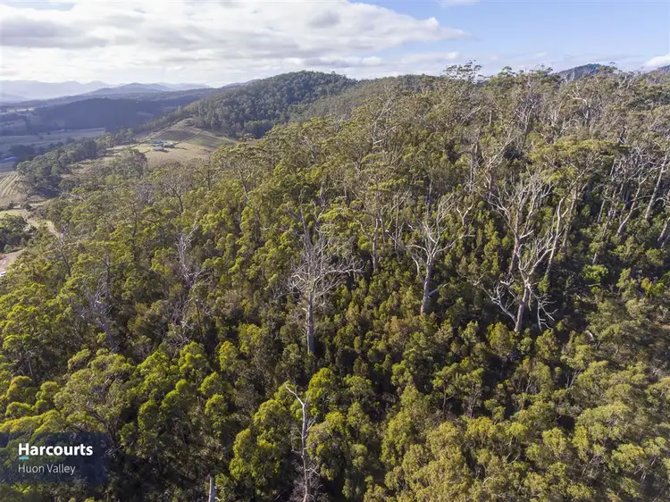 Fifth view of Homely land listing, Lot 1 Off Cygnet Coast Road, Wattle Grove TAS 7109