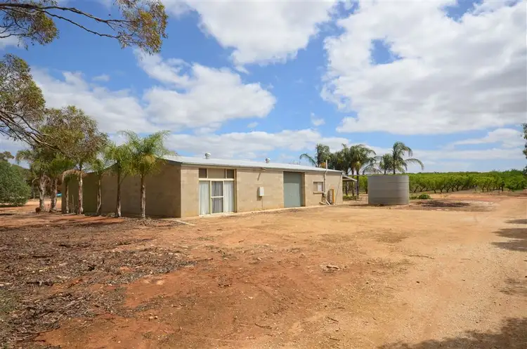 Main view of Homely unit listing, 111 Greenways Road, Nildottie SA 5238