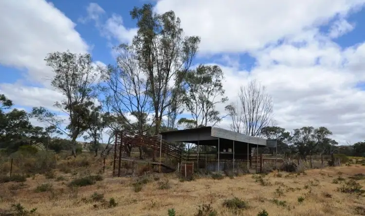 Sixth view of Homely rural property listing, 1 Kroehns Landing Road, Nildottie SA 5238
