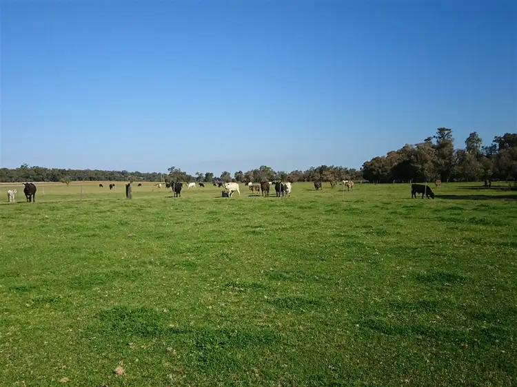 266 Ioppolo Road, Chittering WA 6084