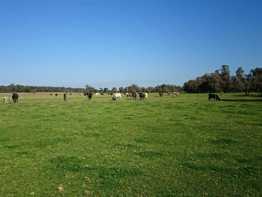 Main view of Homely rural property listing, 266 Ioppolo Road, Chittering WA 6084