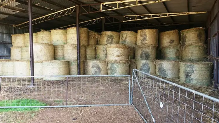 Fourth view of Homely rural property listing, 266 Ioppolo Road, Chittering WA 6084