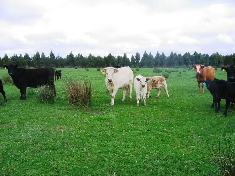 Sixth view of Homely rural property listing, 120 Orleans Bay Road, Esperance WA 6450