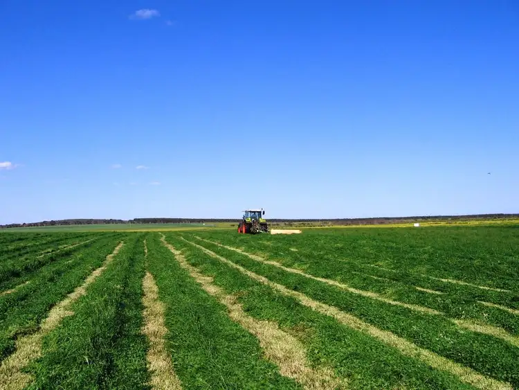 Seventh view of Homely rural property listing, 120 Orleans Bay Road, Esperance WA 6450