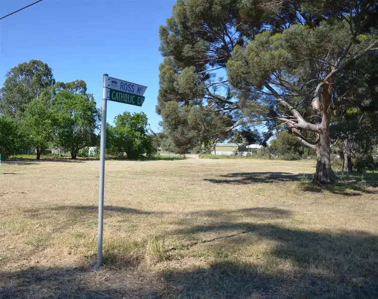 Main view of Homely land listing, 138 Riddoch Highway, Keith SA 5267