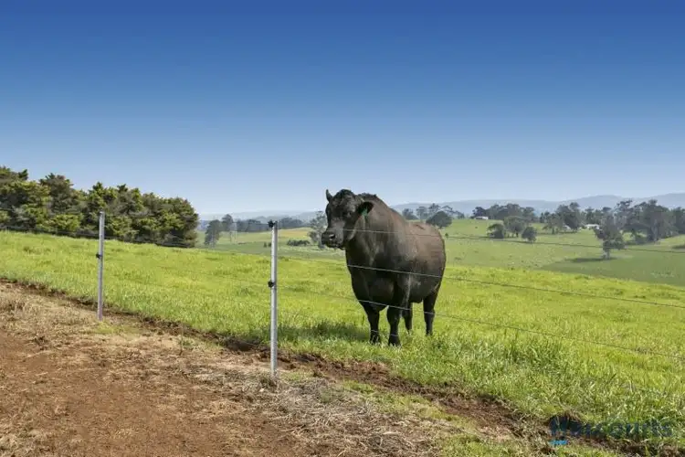 Fifth view of Homely rural property listing, 795 Brandy Creek Road, Buln Buln VIC 3821