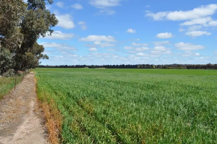 Second view of Homely rural property listing, ' South Block', Kojonup WA 6395