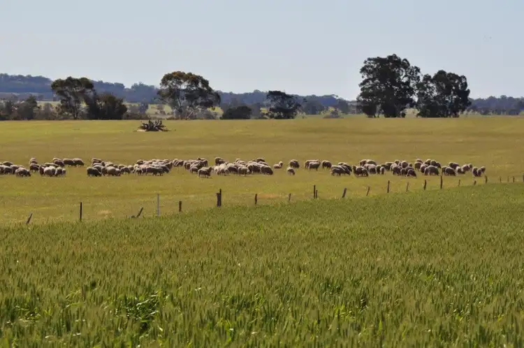 Sixth view of Homely rural property listing, ' South Block', Kojonup WA 6395