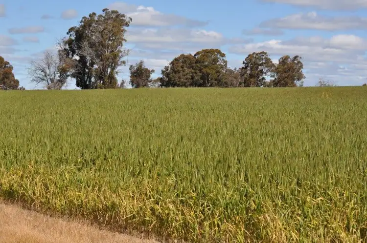 Seventh view of Homely rural property listing, ' South Block', Kojonup WA 6395