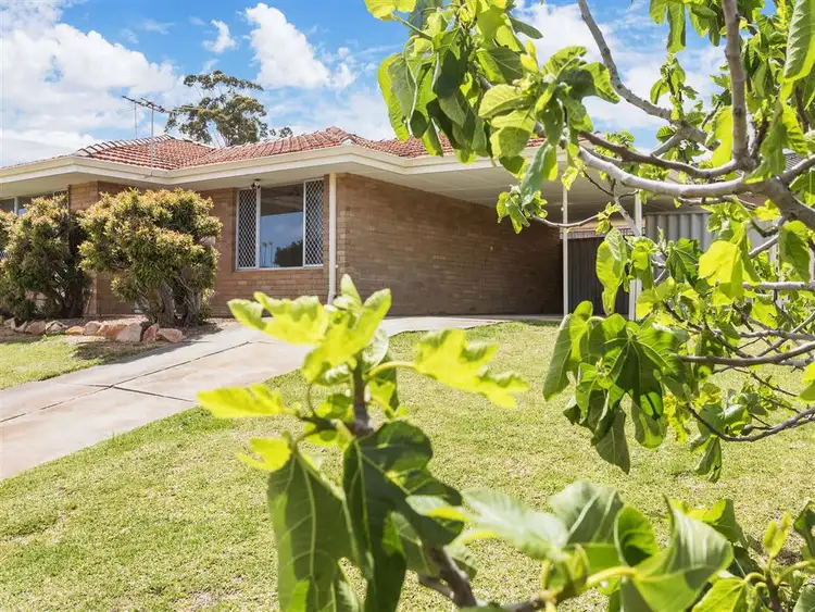 Second view of Homely semi-detached listing, 76B Doolette Street, Spearwood WA 6163