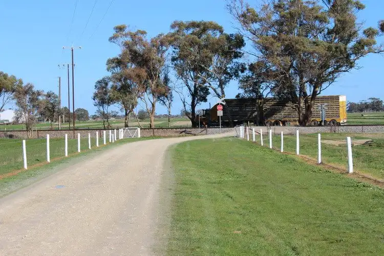 Third view of Homely rural property listing, 16439 Dukes Highway, Bordertown SA 5268