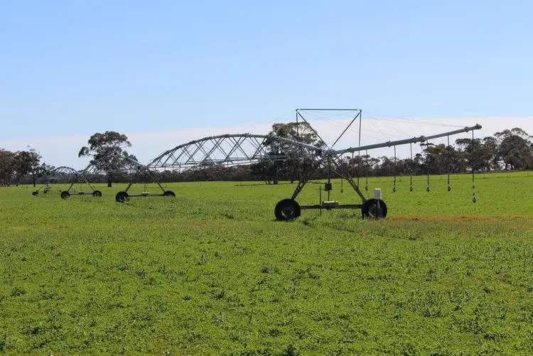 Fourth view of Homely rural property listing, 16439 Dukes Highway, Bordertown SA 5268