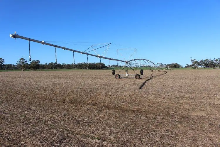 Fifth view of Homely rural property listing, 16439 Dukes Highway, Bordertown SA 5268