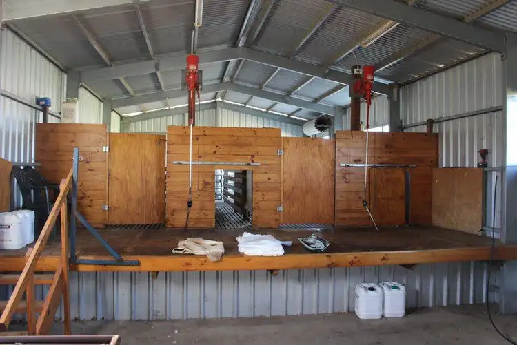 Sixth view of Homely rural property listing, 16439 Dukes Highway, Bordertown SA 5268