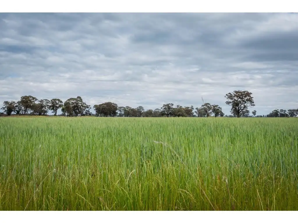 Main view of Homely rural property listing, 156 Hanneberys Road, Euroa VIC 3666
