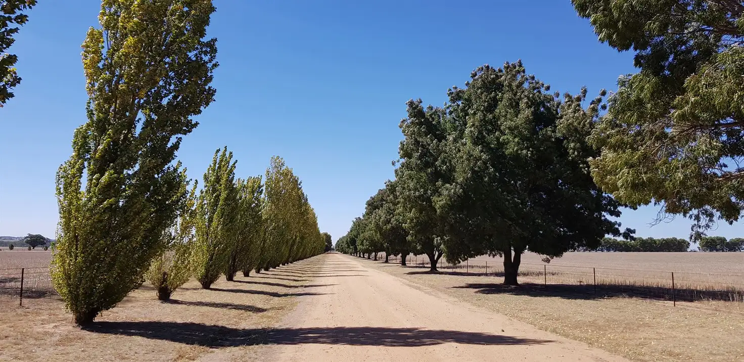 Main view of Homely rural property listing, 501 The Rock Mangoplah Rd The Rock via, Wagga Wagga NSW 2650