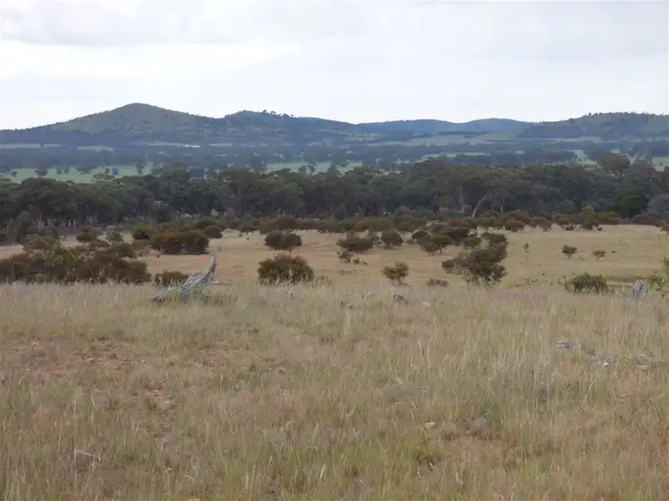 Fourth view of Homely rural property listing, 3360 Ararat- St Arnaud Road, Navarre VIC 3384