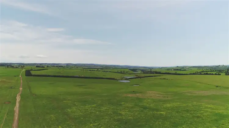 Sixth view of Homely rural property listing, 98 Ridgeside Lane, Evandale TAS 7212