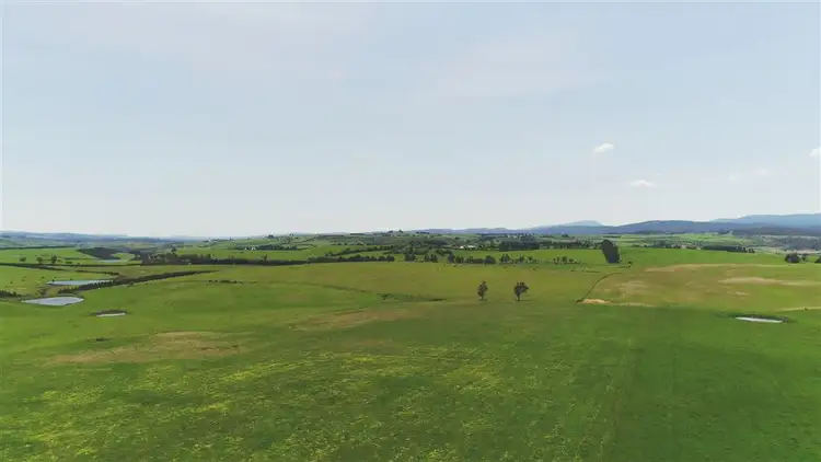 Seventh view of Homely rural property listing, 98 Ridgeside Lane, Evandale TAS 7212