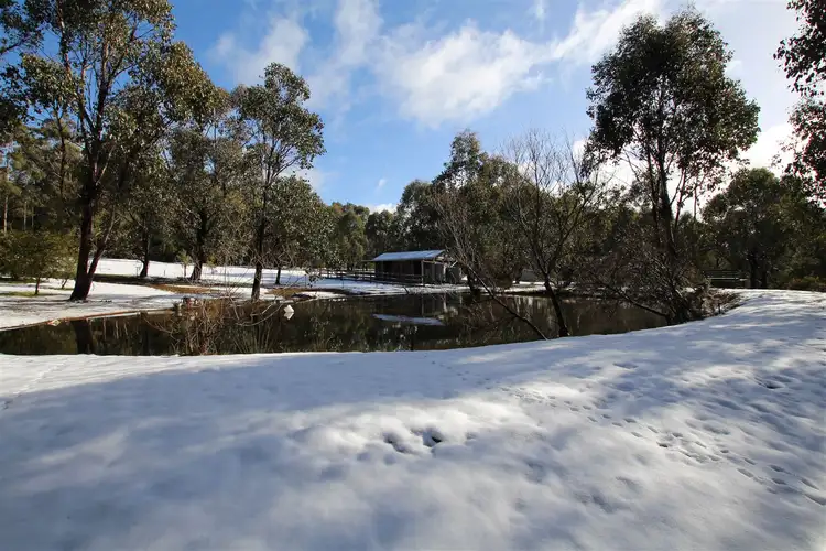 Third view of Homely rural property listing, 2777 Mansfield Whitfield Rd, Tolmie VIC 3723