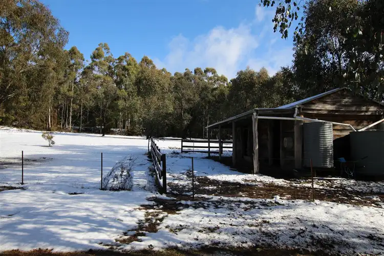 Fourth view of Homely rural property listing, 2777 Mansfield Whitfield Rd, Tolmie VIC 3723