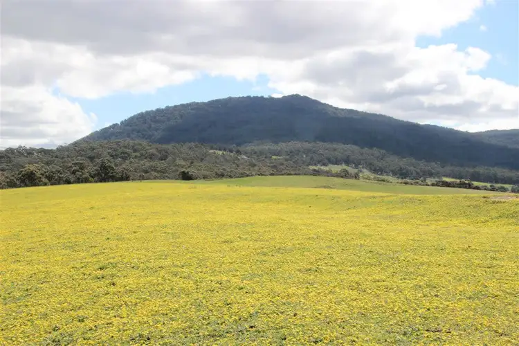 Sixth view of Homely rural property listing, . Raglan-Mount Cole Road, Raglan VIC 3373