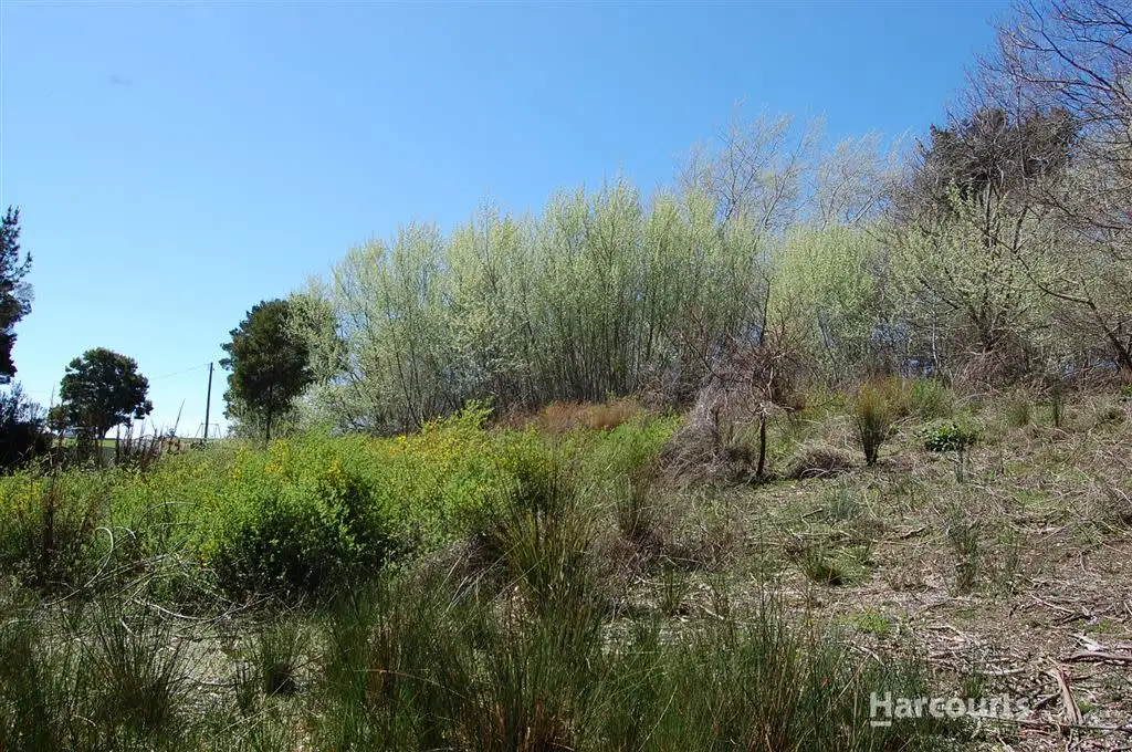 Main view of Homely land listing, 11 Richards Street, Lefroy TAS 7252