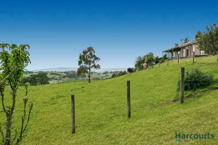 Second view of Homely house listing, 305 One Chain Road, Kardella VIC 3951