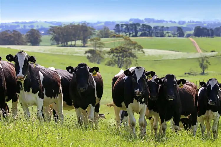 Third view of Homely rural property listing, 570 Boolarra South Mirboo North Road, Mirboo North VIC 3871