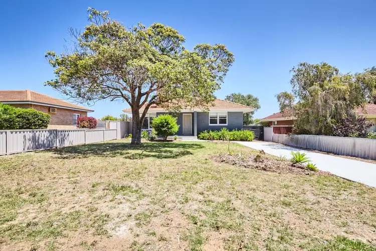 Fourth view of Homely house listing, 31 Joyce Ave, Hamilton Hill WA 6163
