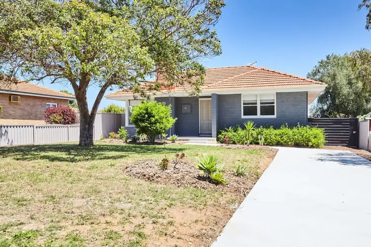 Fifth view of Homely house listing, 31 Joyce Ave, Hamilton Hill WA 6163