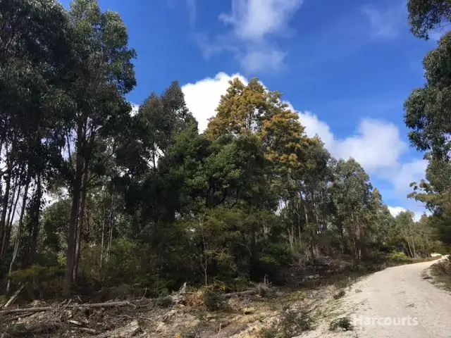 Lot 1 Pipers River Road, Pipers River TAS 7252