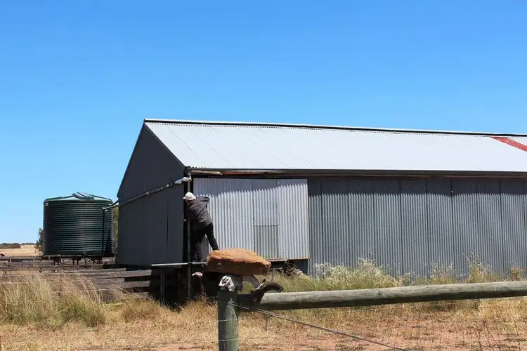 Sixth view of Homely rural property listing, ' Cowcher ', Pingrup WA 6343