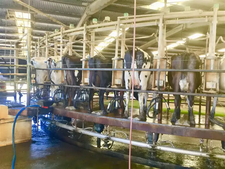 Sixth view of Homely rural property listing, 200 Missens Road, Ecklin South VIC 3265