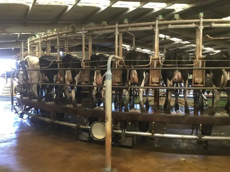 Seventh view of Homely rural property listing, 200 Missens Road, Ecklin South VIC 3265