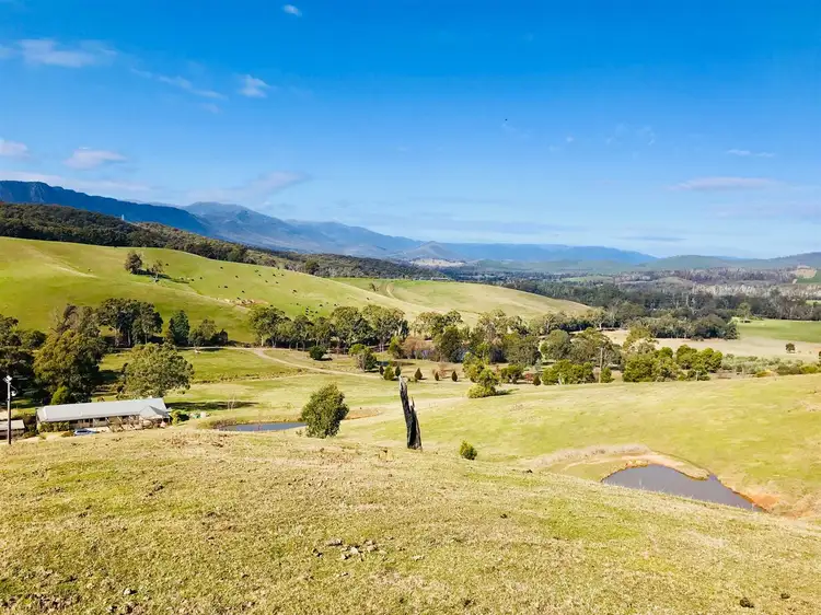 Main view of Homely house listing, 1036 Connellys Creek Road, Taggerty VIC 3714