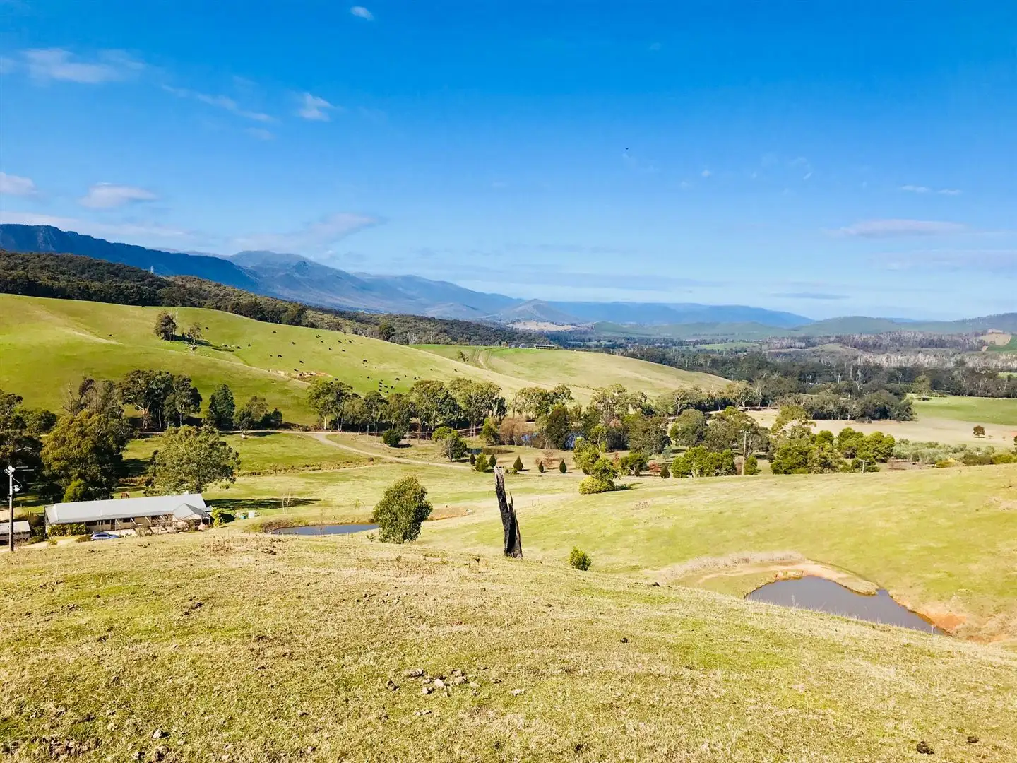 Main view of Homely house listing, 1036 Connellys Creek Road, Taggerty VIC 3714