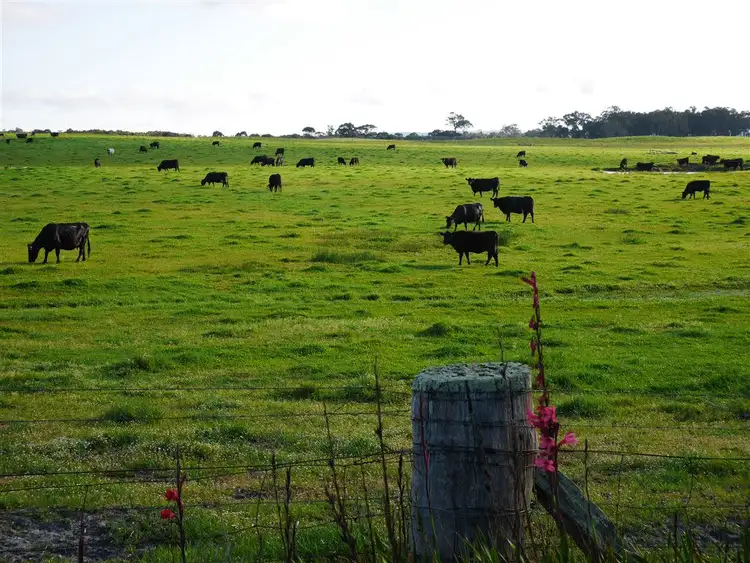 665 Richardson Road, Northcliffe WA 6262