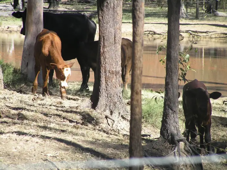 Third view of Homely rural property listing, Lot 16 Durah Road, Chinchilla QLD 4413